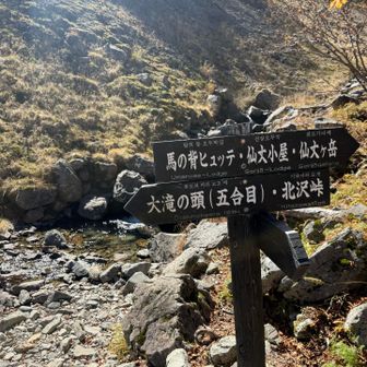 北沢峠に向かって下山
