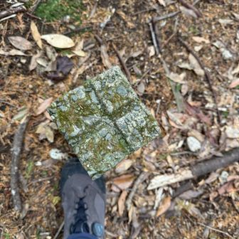 三角点もあり。