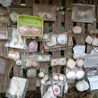 お乳が出るように！祈願!