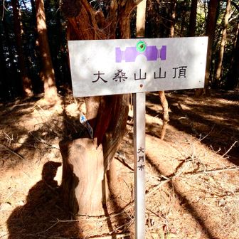 大桑山🙌
急登を登り切ってランチタイム🍙