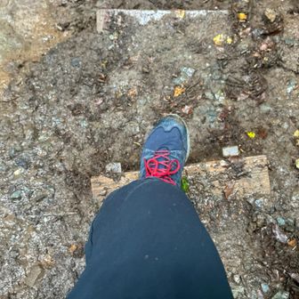今日は雨降りの中でのリハビリ登山なのでトレッキングシューズを履いてきましたが、やはり下山では膝に力が入るとまだ少し痛みが走ります😣我慢できる範疇なので、無理しない程度に速足で下ります