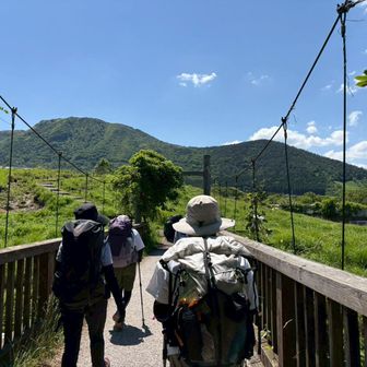 きくりん