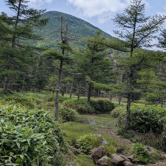 振り向くと蓼科山