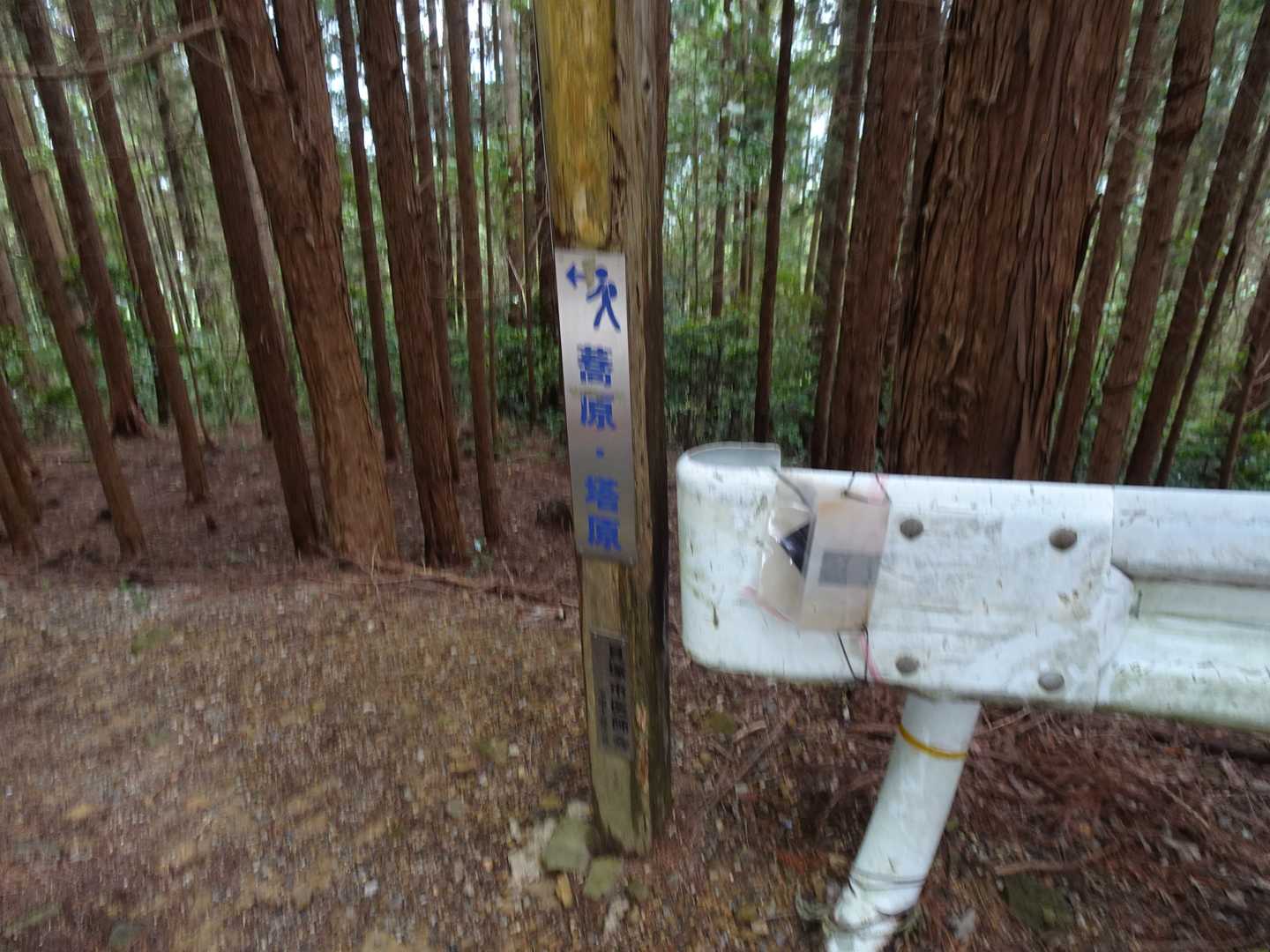 ここで自動車道に再合流。この先はかなり長く自動車道を歩く。