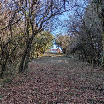 地図ではここ孫岳が終点だけど
その奥も道がひらけている
ちょっと行ってみましょうかねーと進んでみます