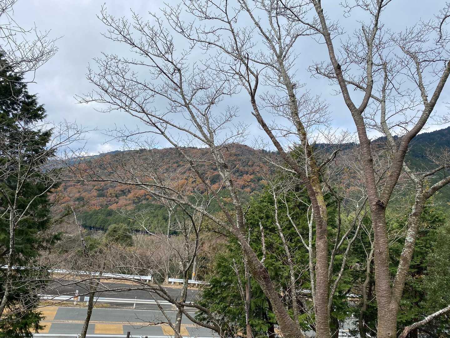 多米峠-神石山  往復コースの写真