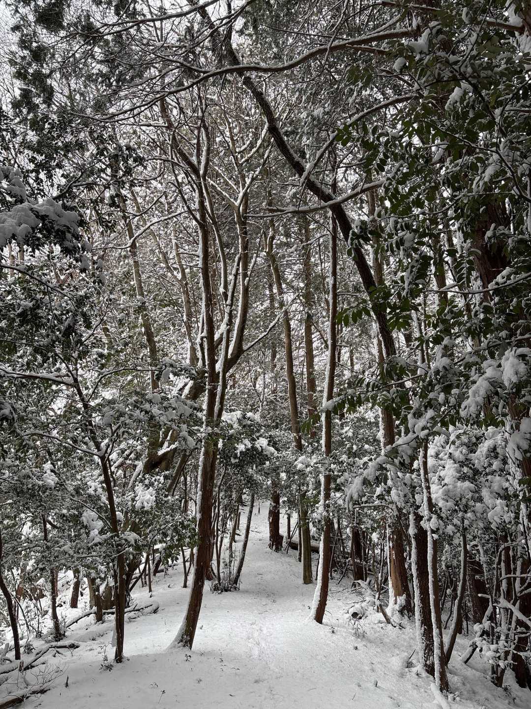 登りも下りも誰もいない雪山☃️