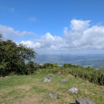 今日は青空が綺麗だ✨