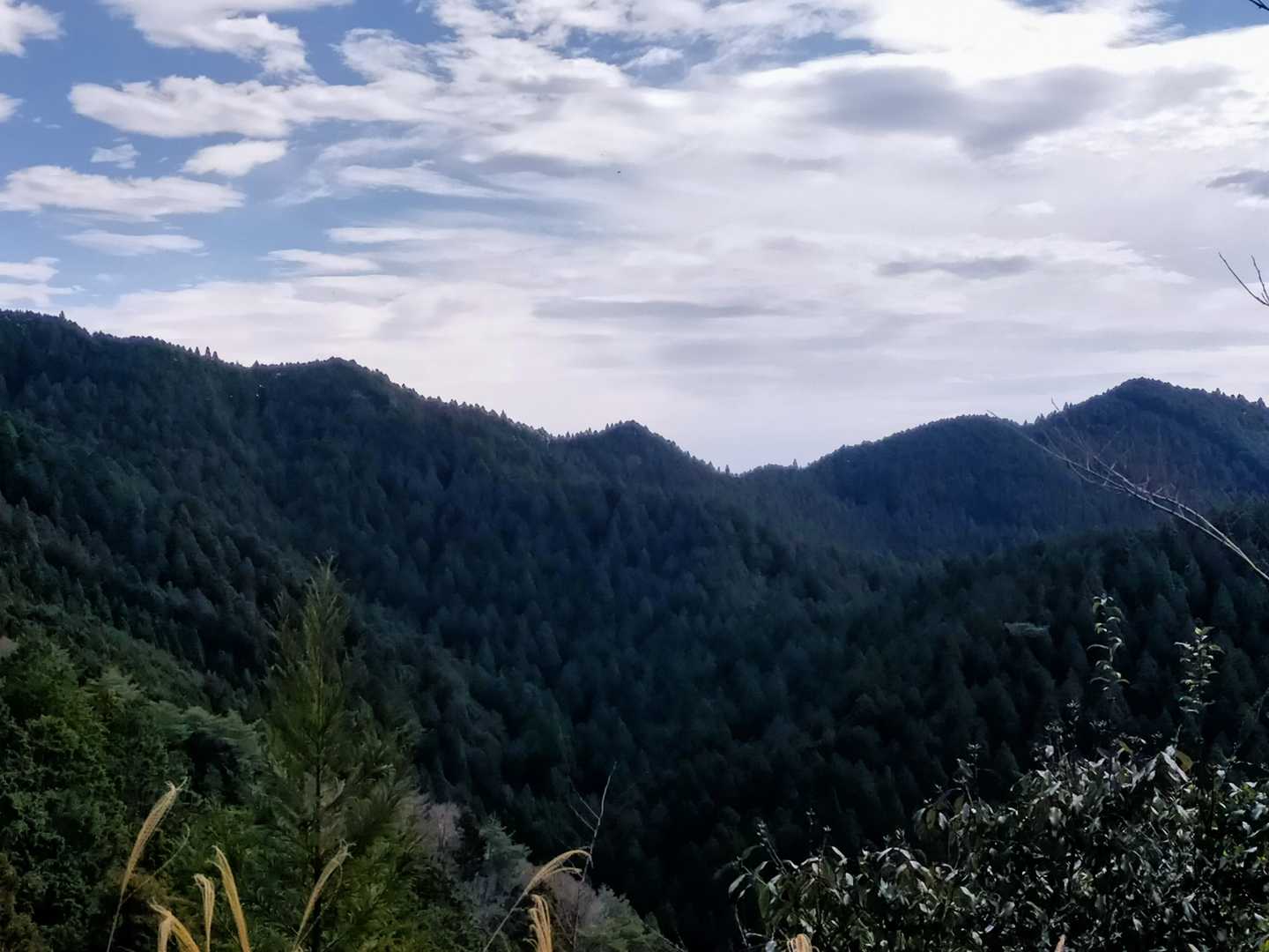 林道からの風景
