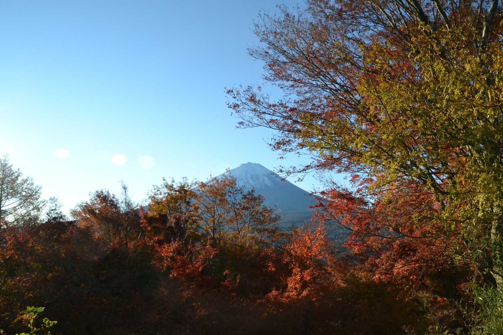 富士山も一緒に。