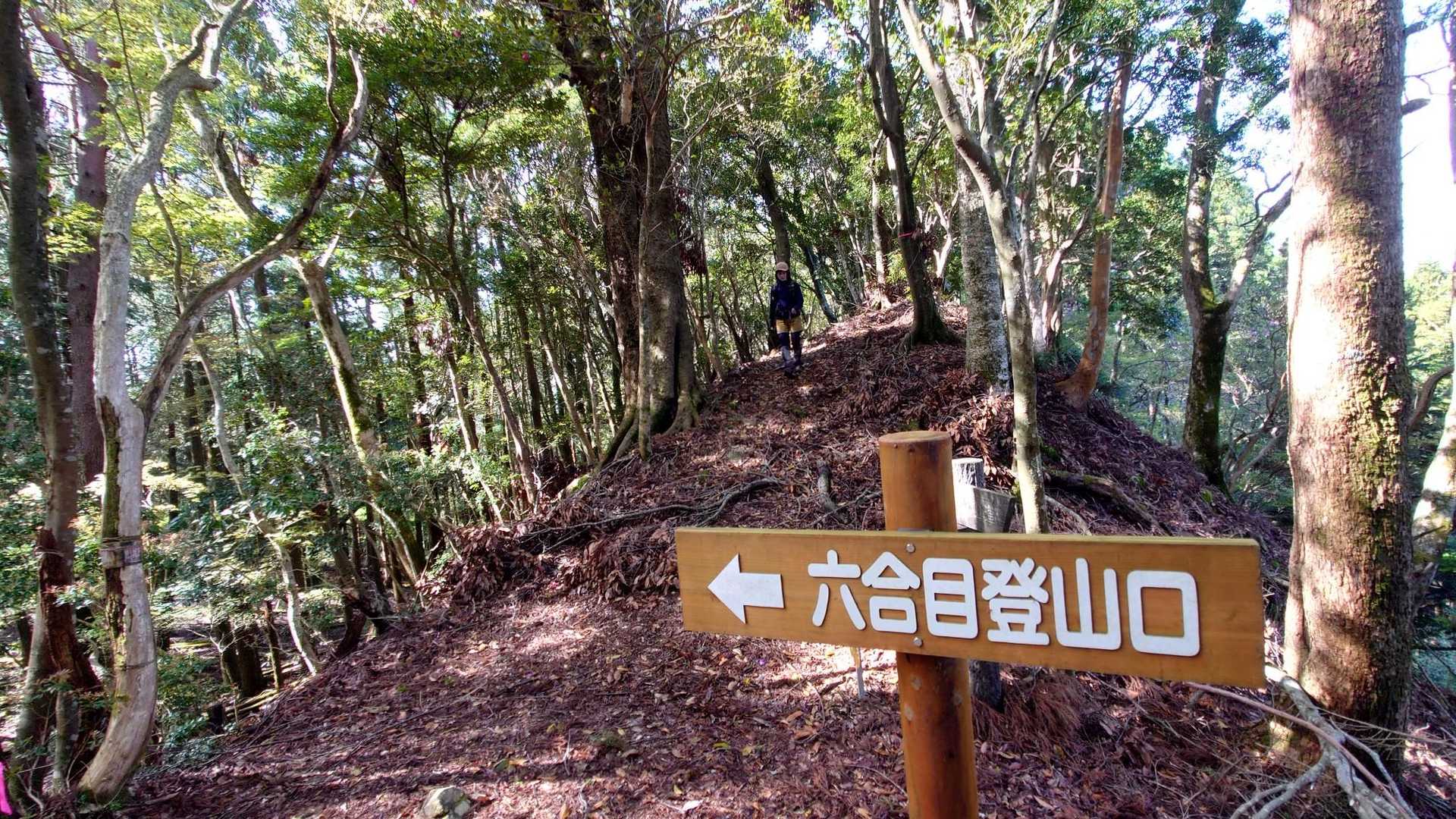 とりあえず本道に乗る為に尾根まで登るのだ