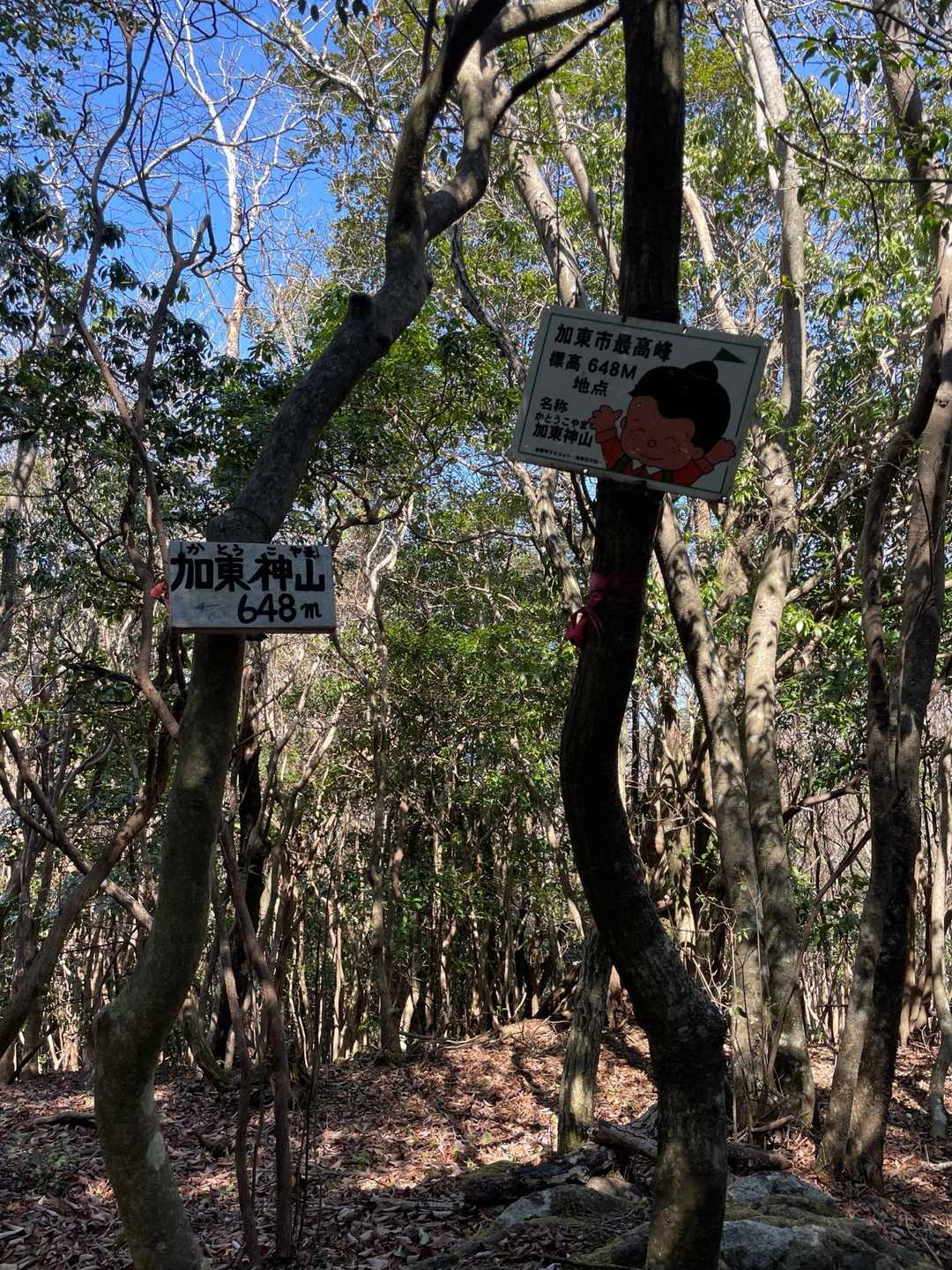 加東神山（かとうこやま）山頂に着きました！！
加東市最高峰です