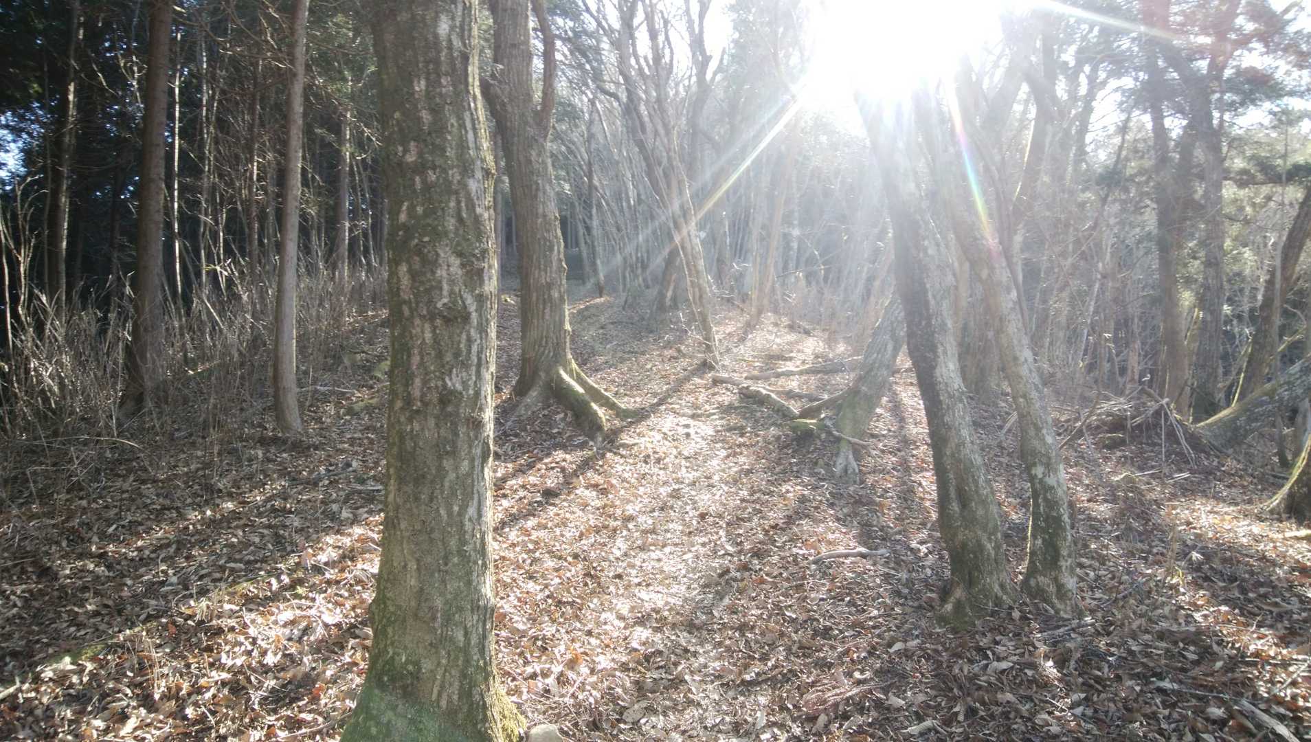 思親山（上佐野集落）＜佐野峠＞の写真