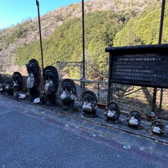 駅中にたぬきさんいっぱい😵‍💫
信楽違うけどなぁ。。