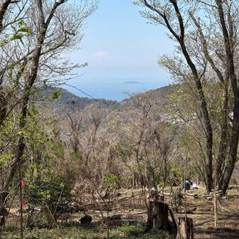 天気よければここから富士山🗻
この日は江ノ島まででした。
