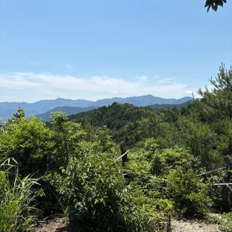 脊振山～金山の縦走路