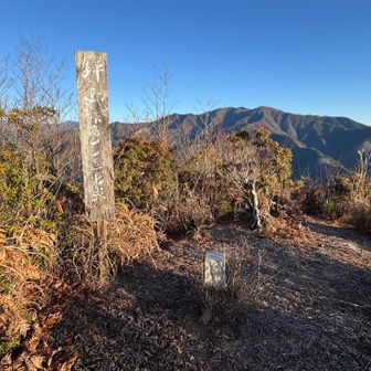 坪山。
「高尾多摩武蔵秩父」75座完登！
山レコ山リストは現在39件達成🙌