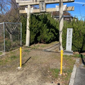 星田妙見山の鳥居⛩️
