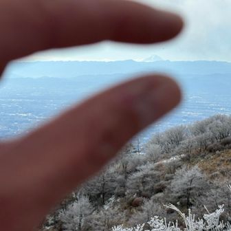 富士山ひょっこり