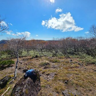 化物山山頂は景観はあまり無いけどこんな感じで広かった。