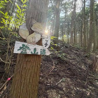 ✨ああー狐さんの疑惑の誘導🦊