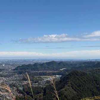 遠くに高層ビル群も見える