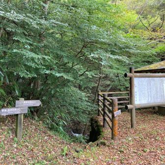御前岳登山口
湧水
