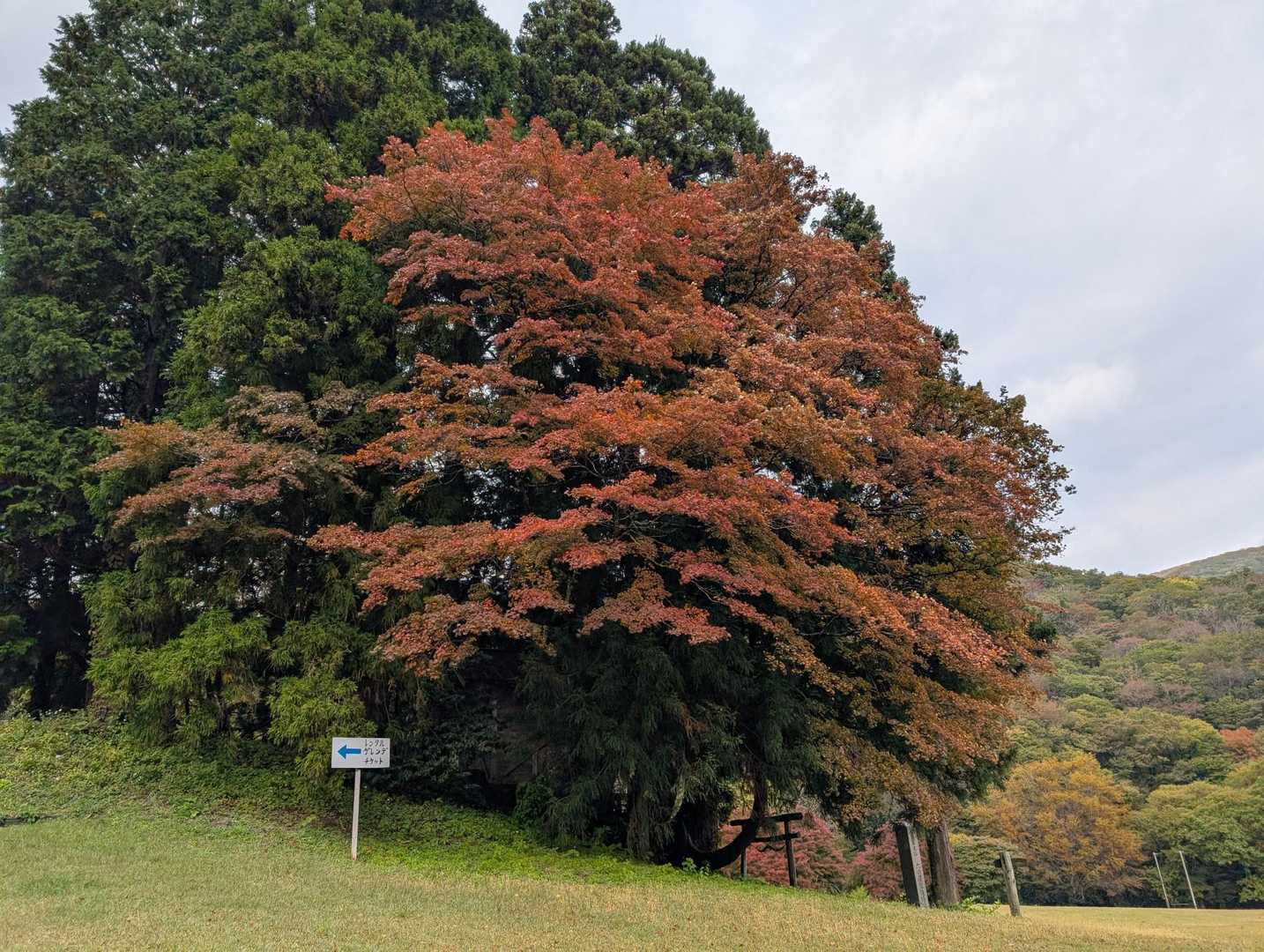 無事下山〜

ありがとうございました🙏✨