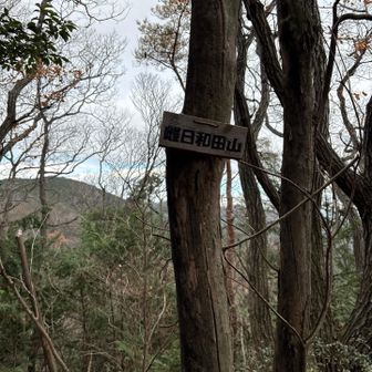 入口は貧相でしたが、踏み跡はしっかりしており、５分程度下ると山頂到着です。