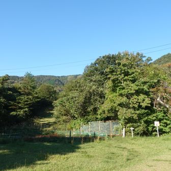 登山口。左に見えているのがスキーのゲレンデで、そこを登っていきます。