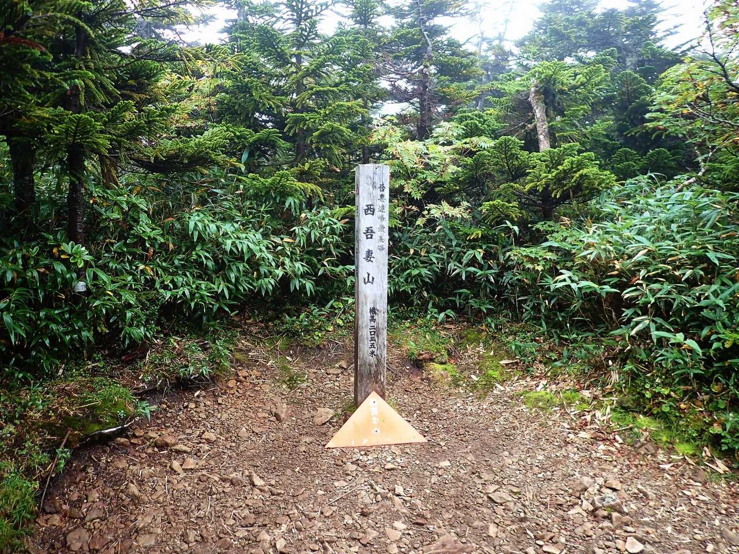 スタートから62分で山頂到着❗️