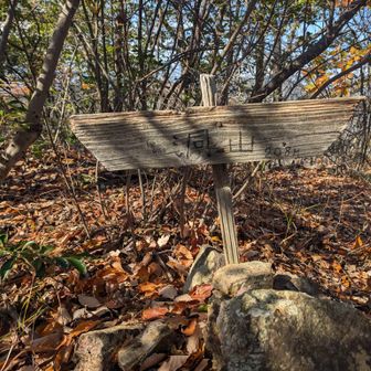 洞山！ここでお会いした方々にイタリアンレストラン教えていただきました！