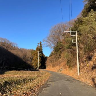 今日もいい天気〜♪
ですが、風が強い！