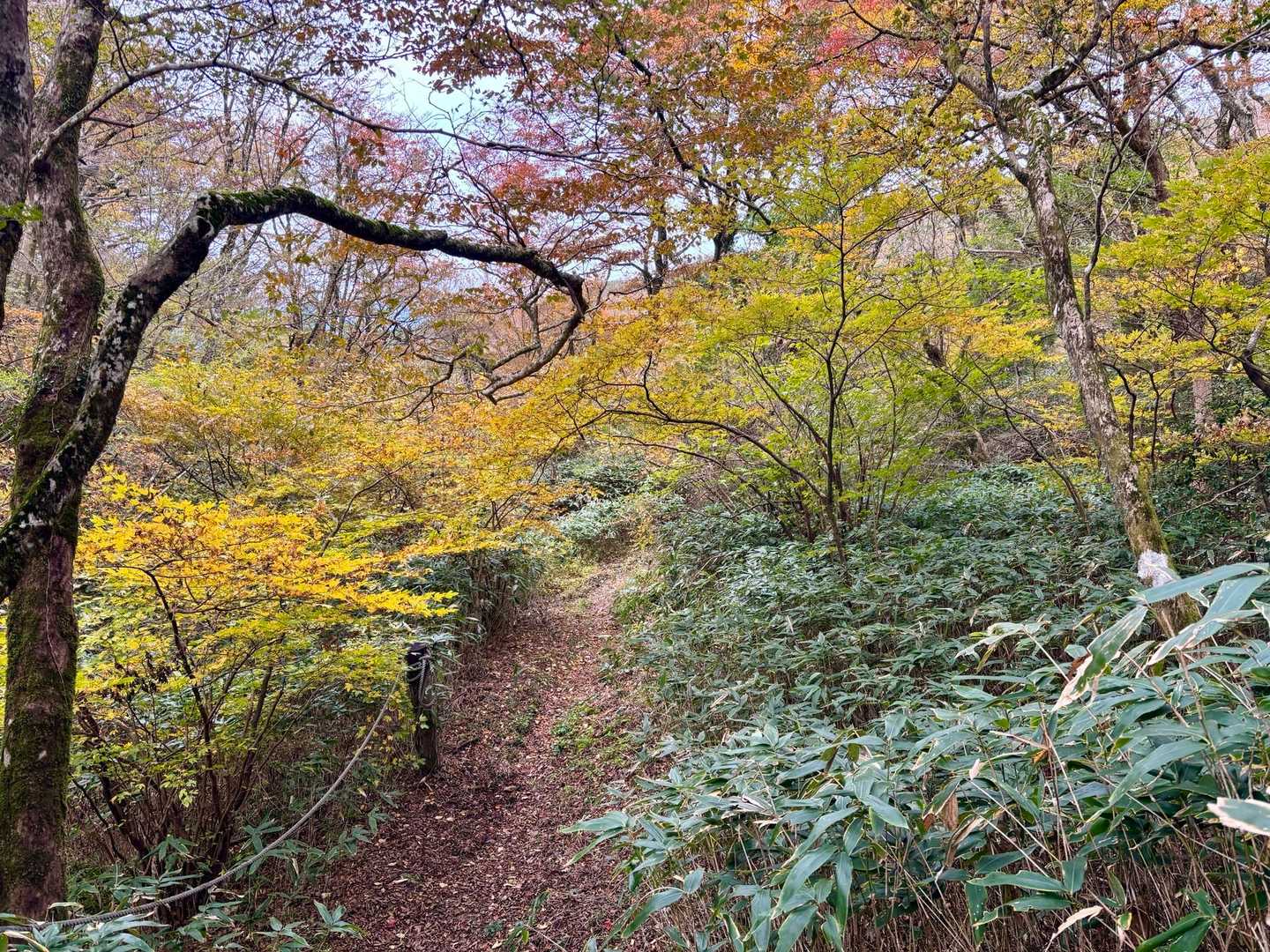 蛤岳 往復コースの写真