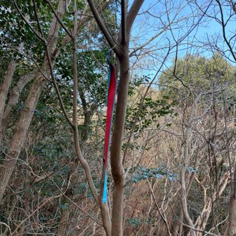 オルレのコースに合流