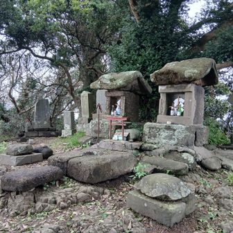 三浦富士の山頂についた