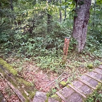 キャンプ場過ぎて分岐を左へ