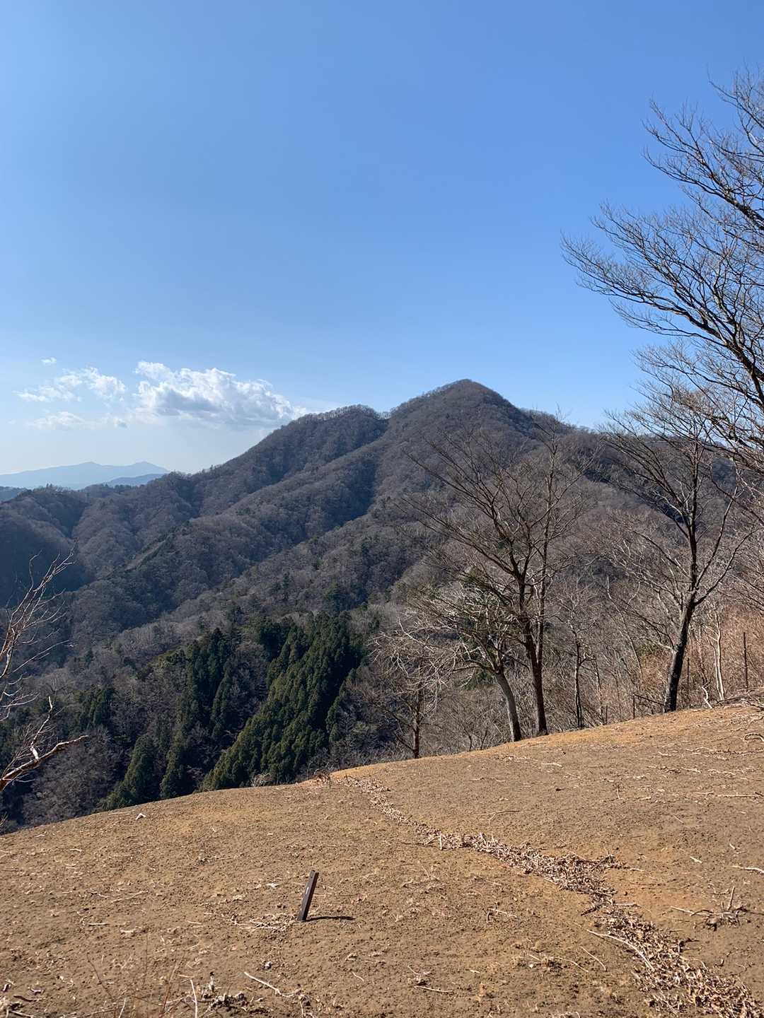 善六山からの畦ヶ丸、最高😭💓
なんて素敵な眺めでしょう。
Hi･････さん、やっと来れましたよ、ありがとうございました❗️