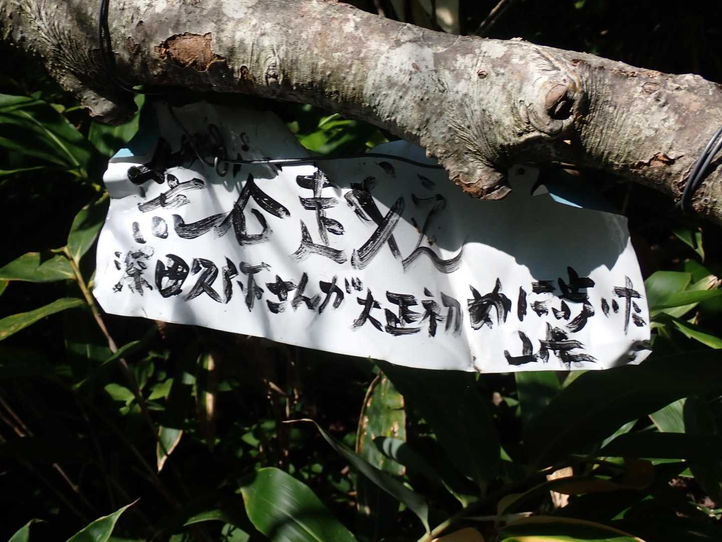 ここを歩いた人が見るとよく分かると思う。廃道になっているかなって。