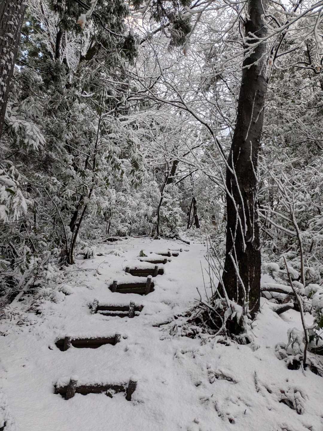 ⛄