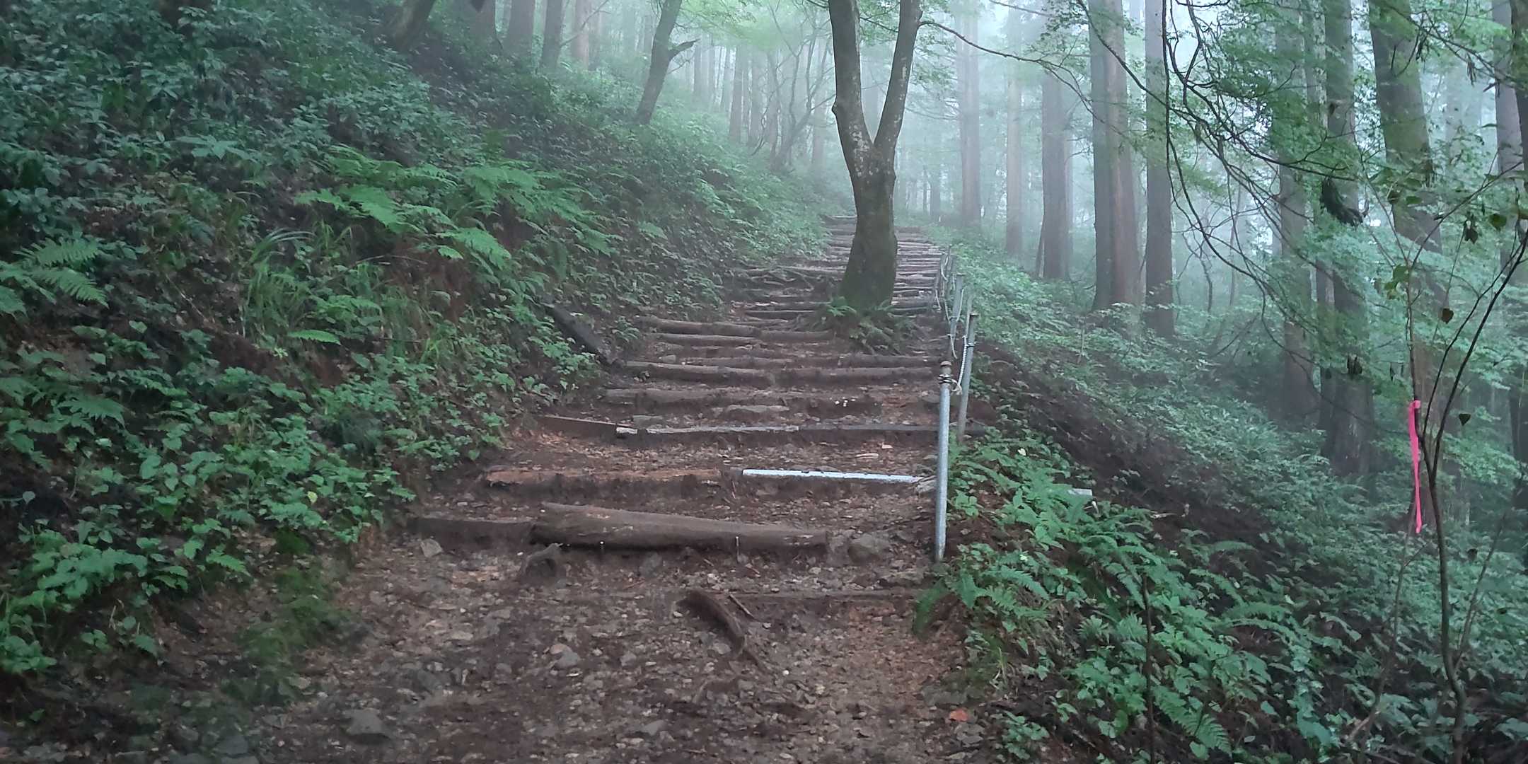 表参道コース | 彌彦神社から始まる、越後人の「心のふるさと」標高634mの霊峰の写真
