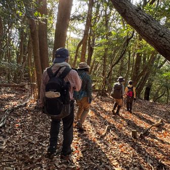 落ち葉の登山道まだ快適です