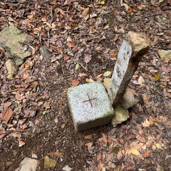 三角点に優しくタッチ😆