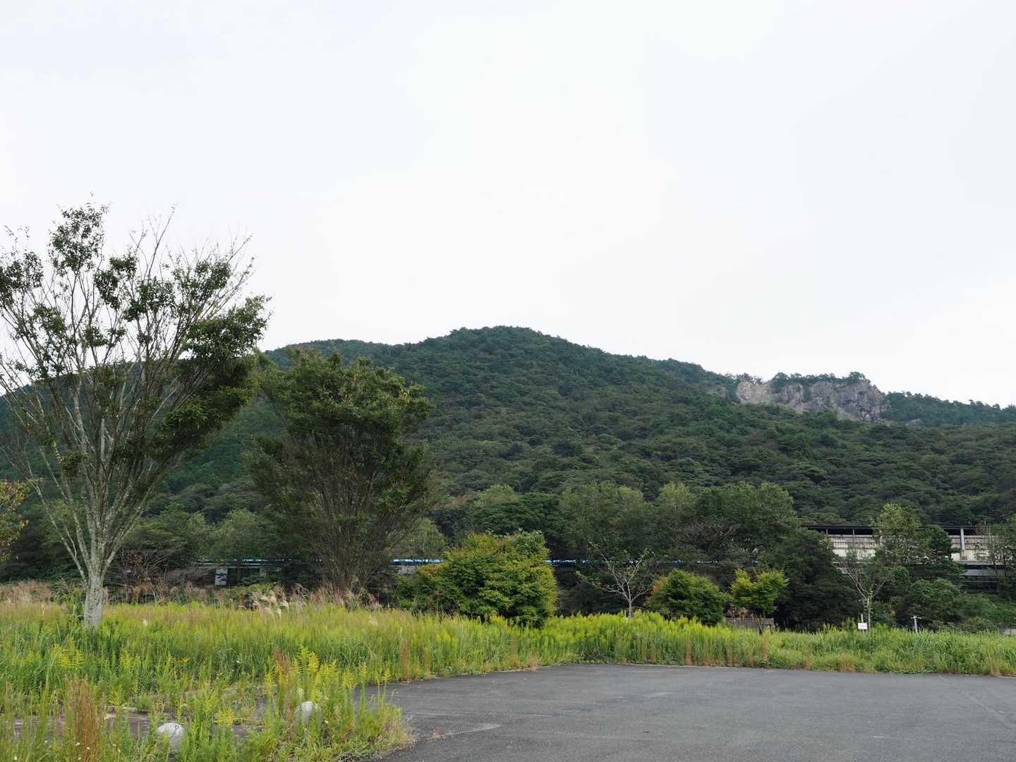 戻ってきて駐車場から眺める龍王山
楽しい山歩きができました
有難うございました