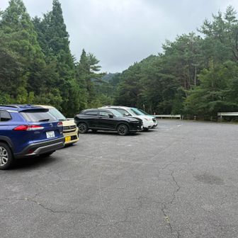 帰ってきました。
車は少ないですね。