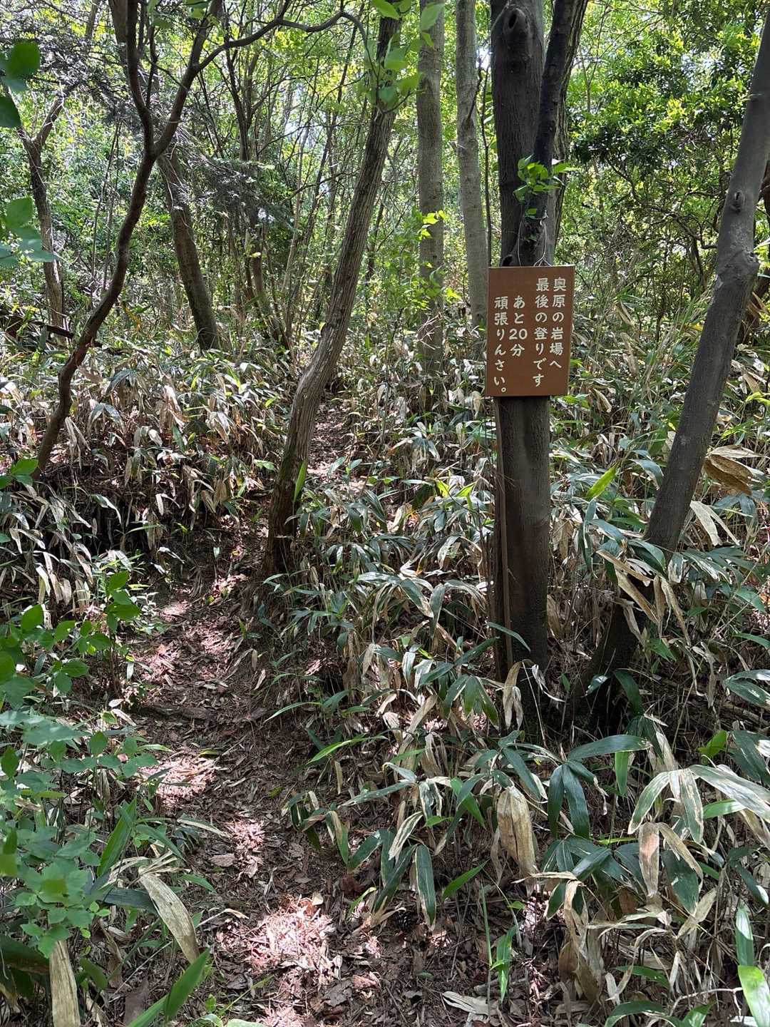 窓ヶ山西峰-仏峠-向山 周回コースの写真