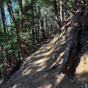 牛尾からの山道が気持ちいい