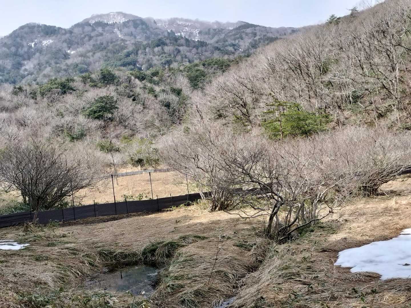 沢を抜けて湿原を通り