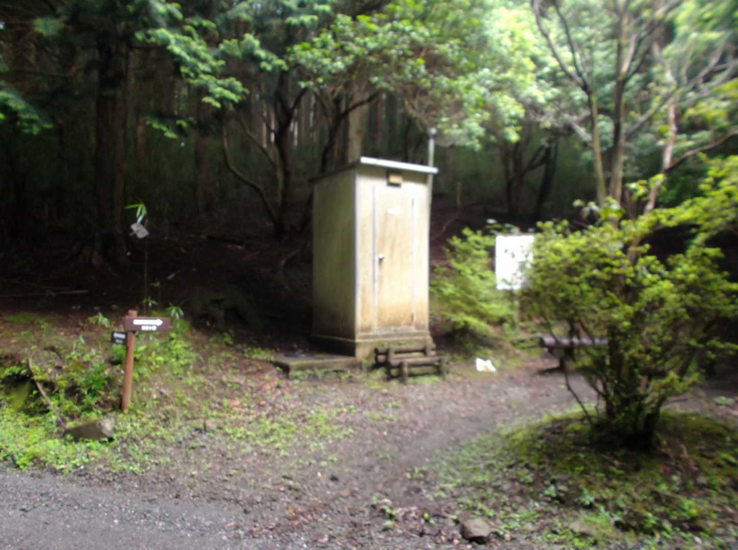遊歩道を進むとトイレがあって