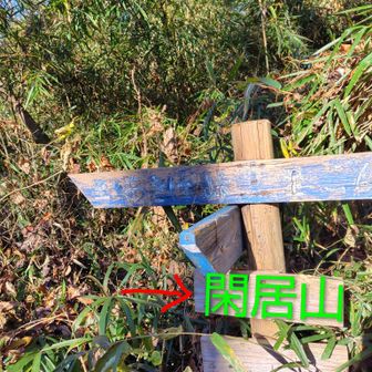 いつからか走ることもできるようになった


＊木の看板に「閑居山」とひっかき後がありました😊